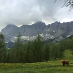 Pension-greimelbacherhof Gasthof Ramsau am Dachstein