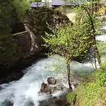 Pension-greimelbacherhof Gasthof Ramsau am Dachstein