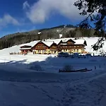 Pension-greimelbacherhof 3* Ramsau am Dachstein