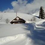 Pension-greimelbacherhof 3* Ramsau am Dachstein