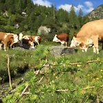 Gasthof Pension-greimelbacherhof Ramsau am Dachstein