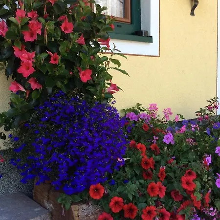 Pension-greimelbacherhof Konukevi