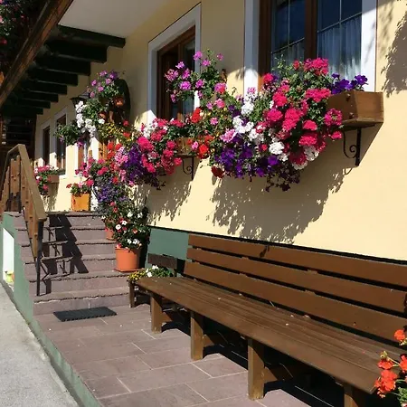 Konukevi Pension-greimelbacherhof Ramsau am Dachstein