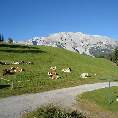 Pension-greimelbacherhof Konukevi 3*