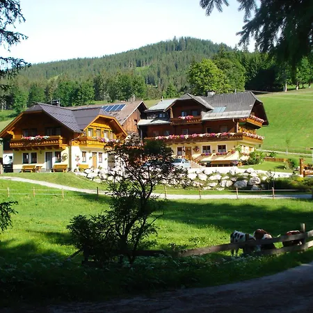 Pension-greimelbacherhof 3* Ramsau am Dachstein