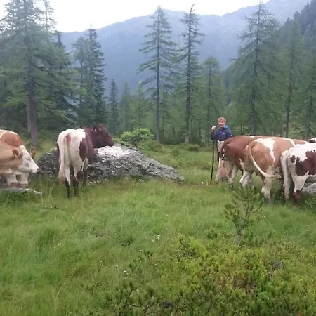 Pension-greimelbacherhof Konukevi Ramsau am Dachstein