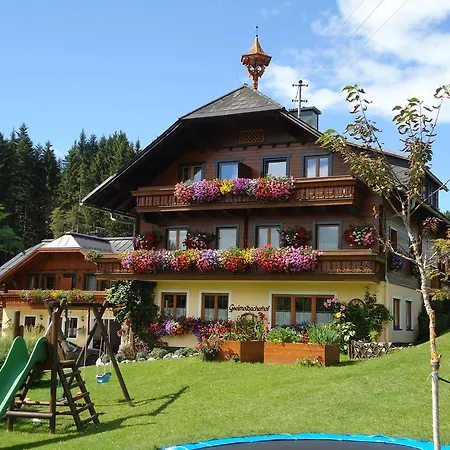 Pension-greimelbacherhof Ramsau am Dachstein