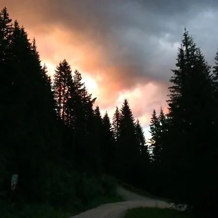 Pension-greimelbacherhof Pensionat