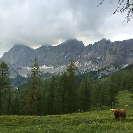 Pension-greimelbacherhof Gæstehus Ramsau am Dachstein