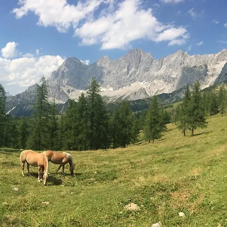 Pension-greimelbacherhof 3* Ramsau am Dachstein