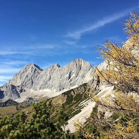 Pensionat Pension-greimelbacherhof 3*