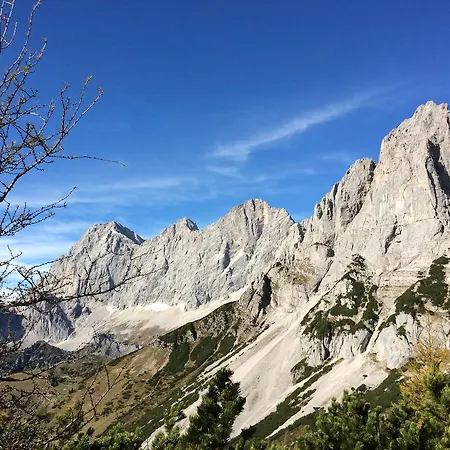 Pension-greimelbacherhof Ramsau am Dachstein