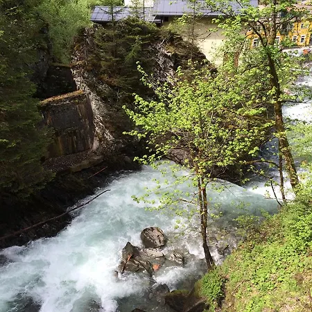 Pension-greimelbacherhof Gæstehus Ramsau am Dachstein