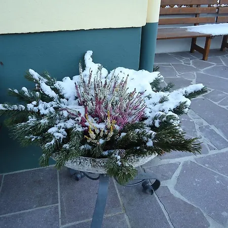 Gæstehus Pension-greimelbacherhof Ramsau am Dachstein