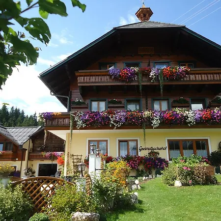 Pensionat Pension-greimelbacherhof 3*