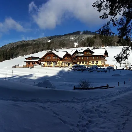 Pension-greimelbacherhof 3* Ramsau am Dachstein