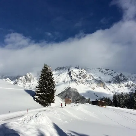 Konukevi Pension-greimelbacherhof Ramsau am Dachstein