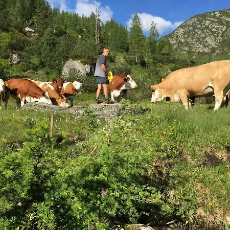 Pensionat Pension-greimelbacherhof