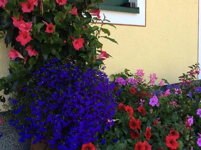 Pension-greimelbacherhof Pensjonat