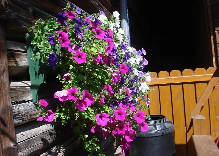 Pensjonat Pension-greimelbacherhof Ramsau am Dachstein