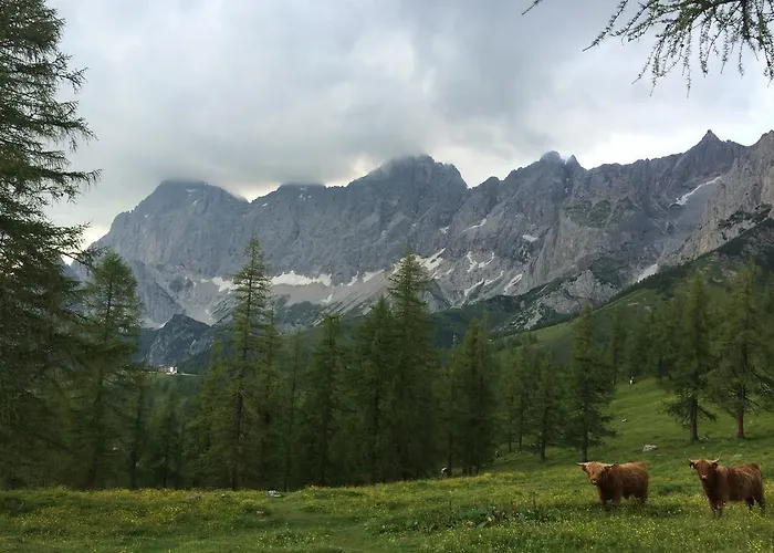 Pension-greimelbacherhof Pensjonat Ramsau am Dachstein