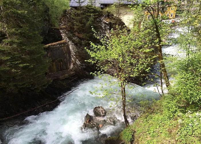 Pension-greimelbacherhof Pensjonat Ramsau am Dachstein