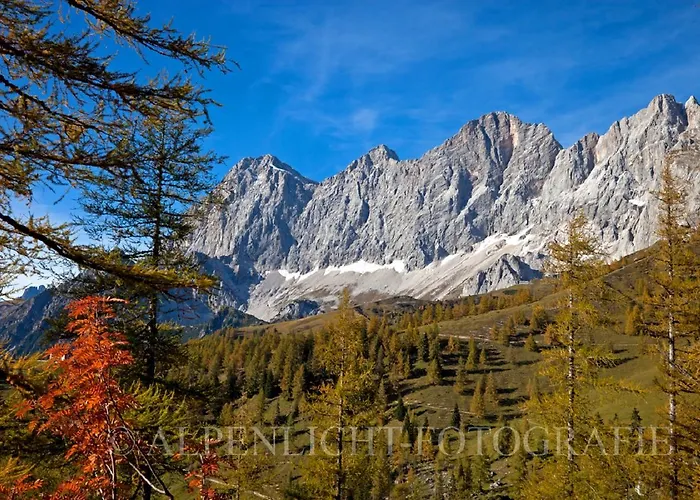 Pensjonat Pension-greimelbacherhof Ramsau am Dachstein
