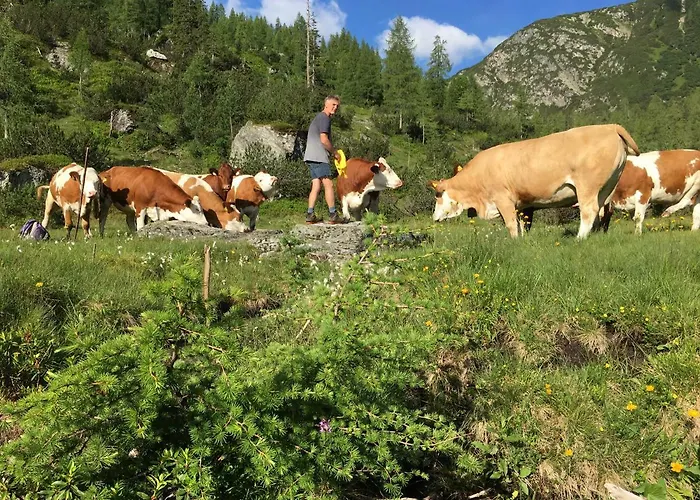 Pensjonat Pension-greimelbacherhof